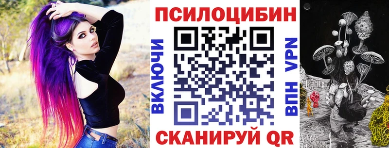 Псилоцибиновые грибы прущие грибы  площадка как зайти  Фурманов 